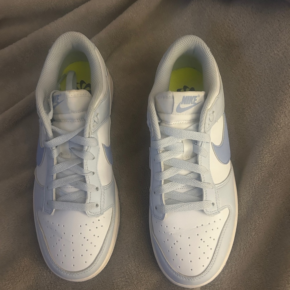 Nike Women’s Dunk low Next Nature shoes